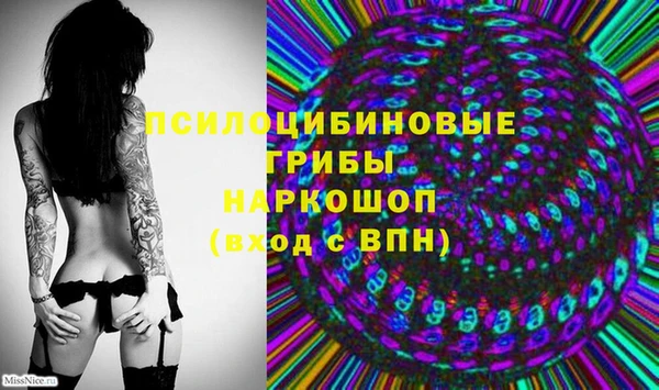 герыч Елизово