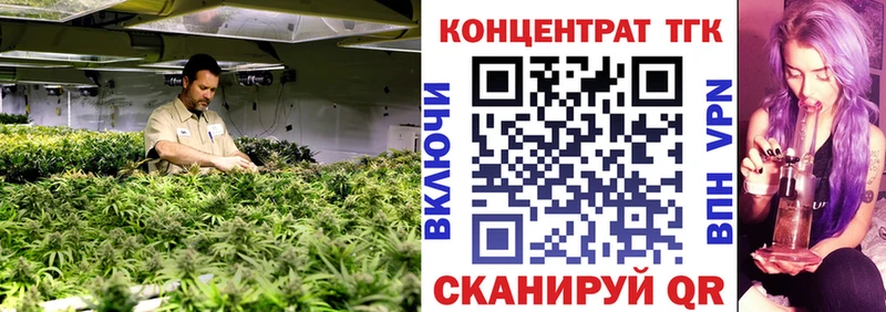 ТГК концентрат  где найти   Зеленокумск 