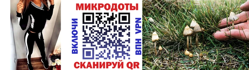 Галлюциногенные грибы Cubensis Зеленокумск