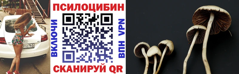 Псилоцибиновые грибы Cubensis Зеленокумск