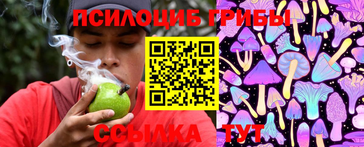 купить  сайты  Псилоцибиновые грибы MAGIC MUSHROOMS  Вход с VPN  Зеленокумск 