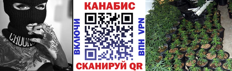 Бошки марихуана MAZAR Зеленокумск
