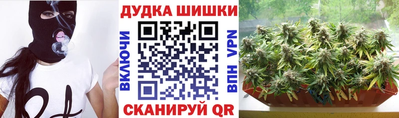 Бошки Шишки SATIVA & INDICA  где можно купить наркотик  Зеленокумск 